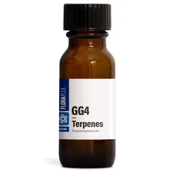 Photo of Original Glue (GG)